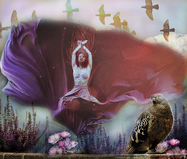 综合上述分 综合上述分