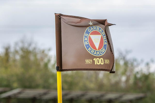 亚冬会吸引 亚冬会吸引