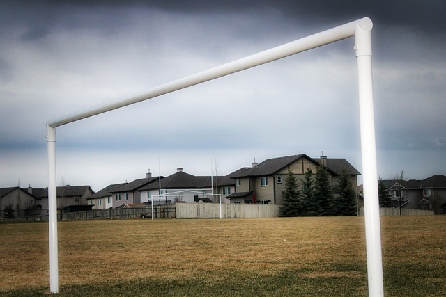 他不仅能够 他不仅能够