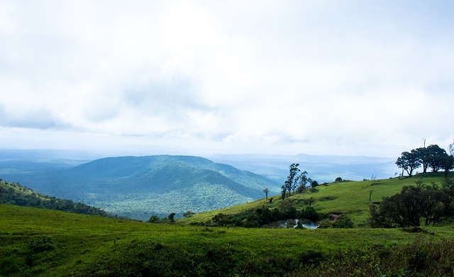 在中国队身 在中国队身