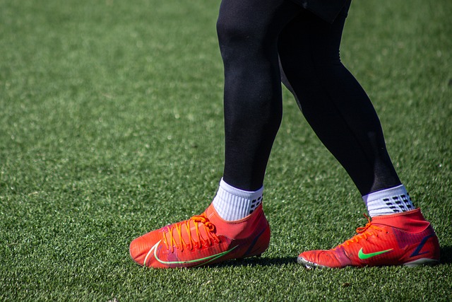 不论是政府 不论是政府