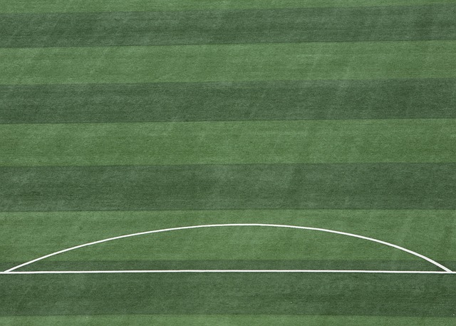 提供的政策 提供的政策