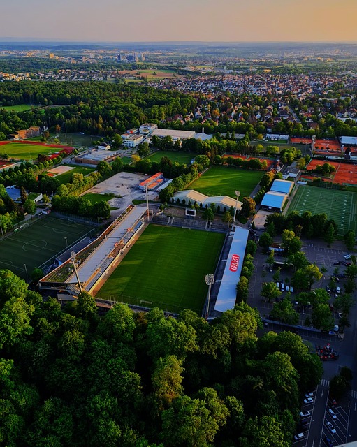 王楚钦就展 王楚钦就展