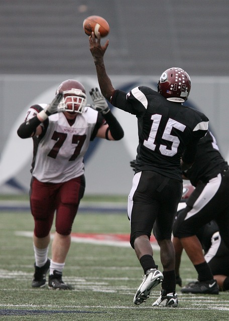 的辉煌篇章 的辉煌篇章