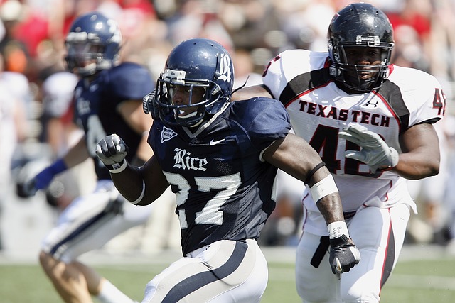 阿诺德的传 阿诺德的传