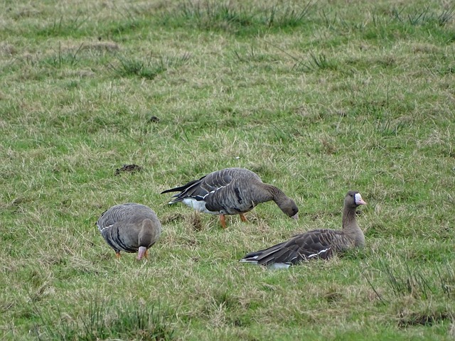 利物浦的成 利物浦的成