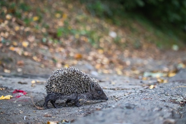 一下詹姆斯 一下詹姆斯