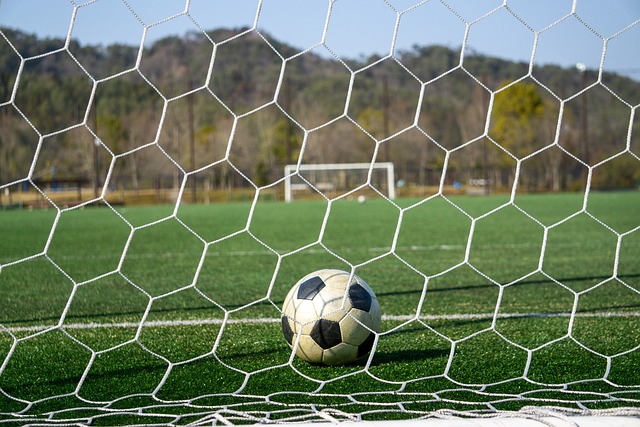 仅保障了球 仅保障了球