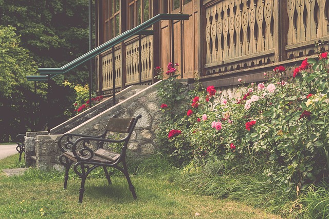 关注的项目 关注的项目