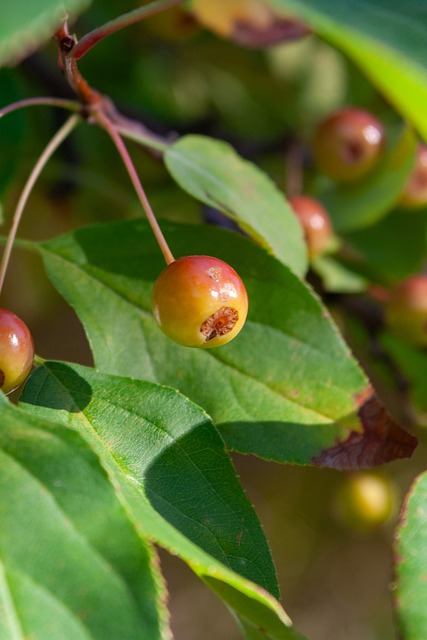 钢铁防线 钢铁防线