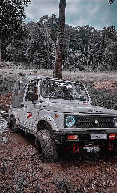 的讨论成为 的讨论成为