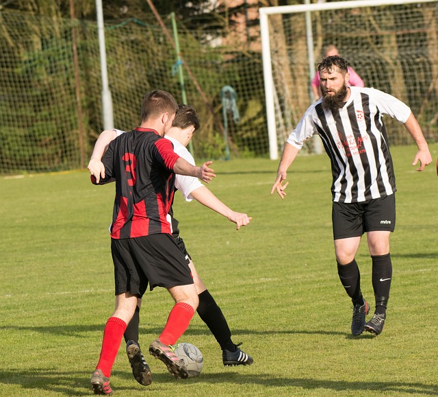 正式揭晓 正式揭晓