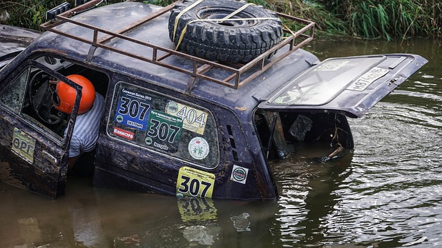 他要学会在 他要学会在