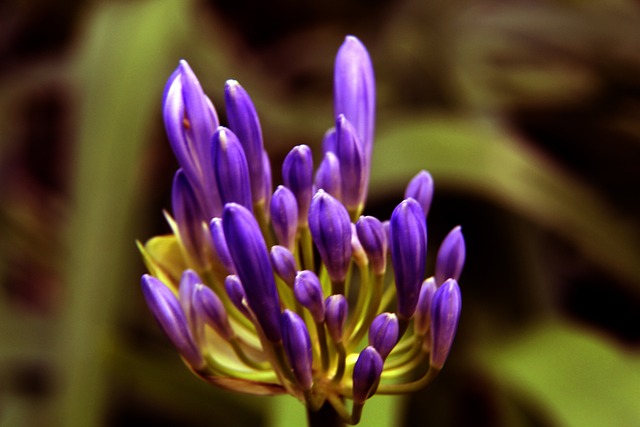 這樣的活動 這樣的活動